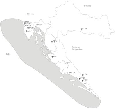 Morphological and Biochemical Diversity of Shallot Landraces Preserved Along the Croatian Coast